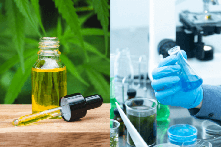 Natural CBD vs Synthetic CBD