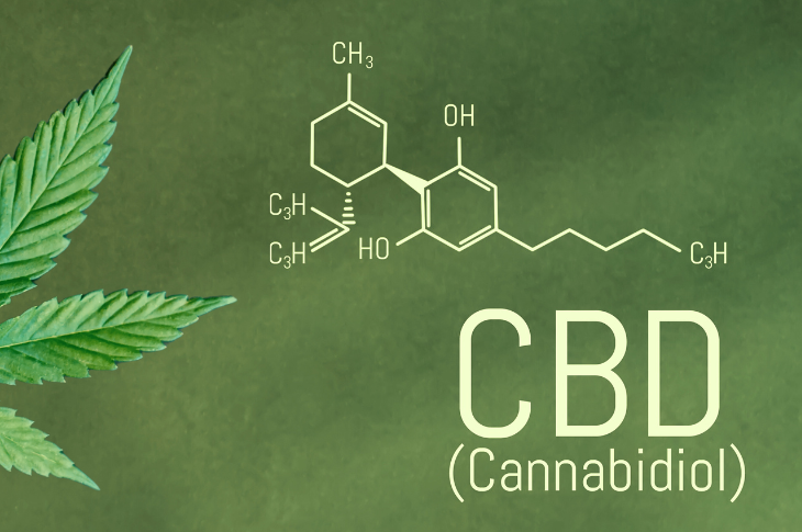 Understanding CBD’s Potential: What Is Bioavailability?