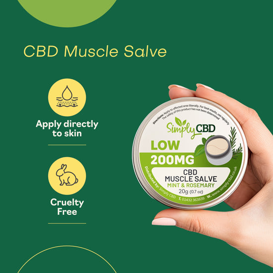 CBD Muscle Salve (200MG) - Rosemary and Mint