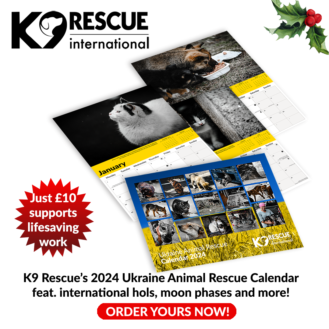 K9 Rescue Charity 2024 Calendar